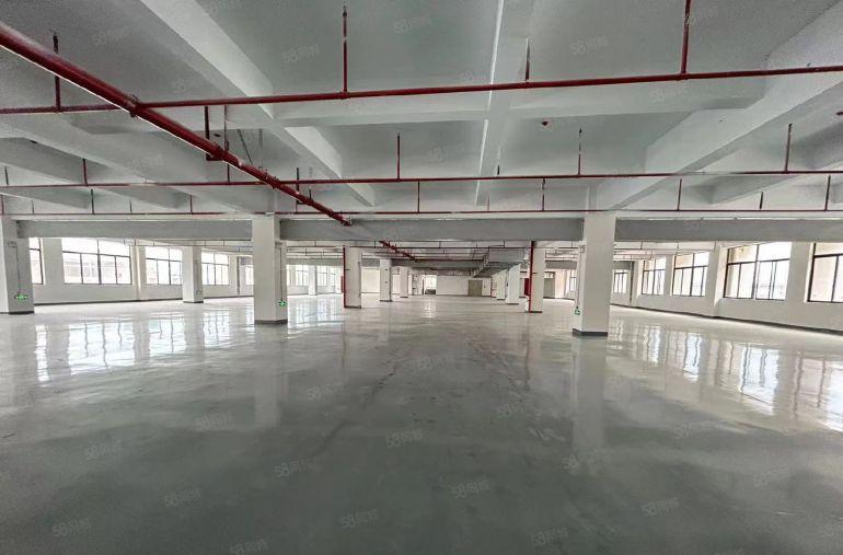 塘厦桥陇原房东直租楼上5000平，全新地坪漆精装修，消防合格