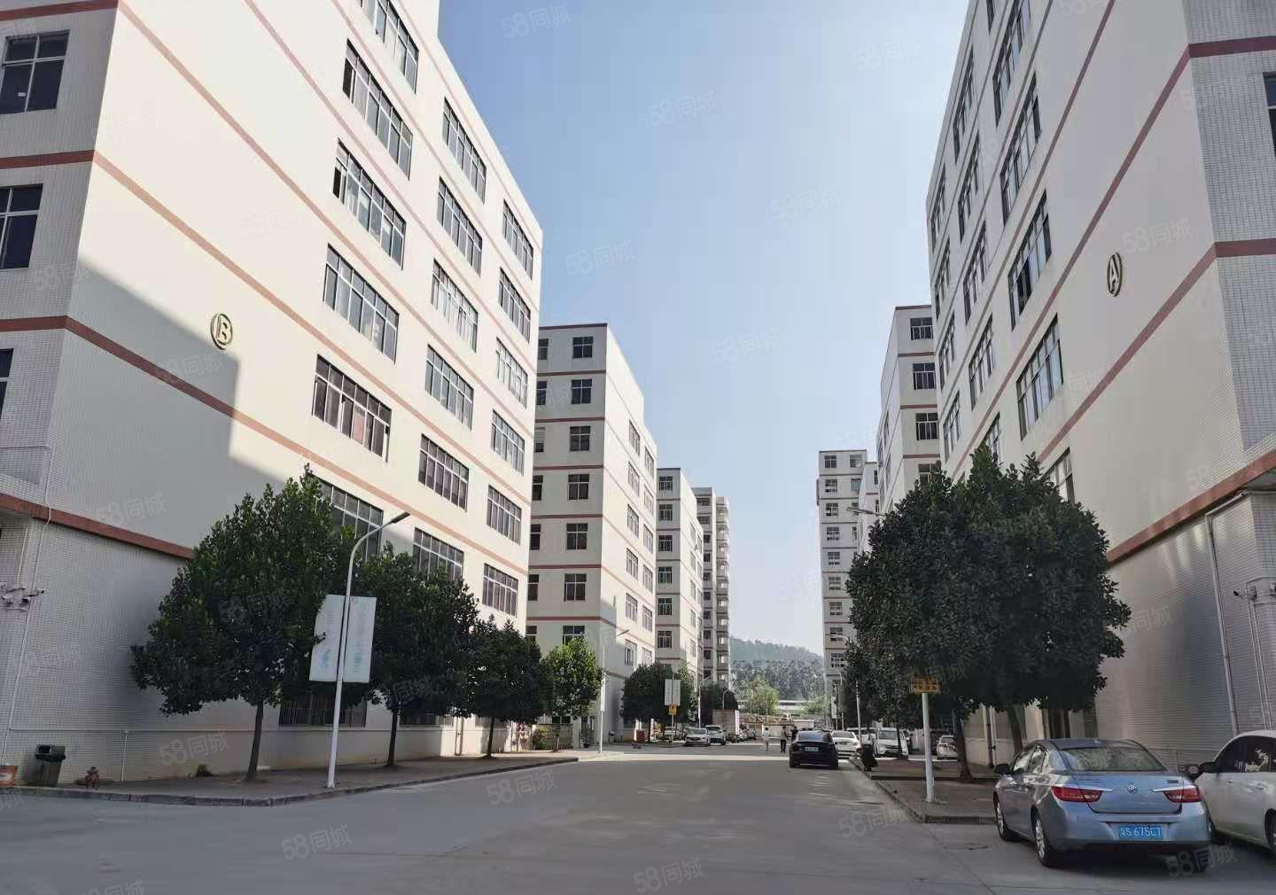 塘厦沙湖原房东自建红本厂房2万平单层3000平厂房仓库出租