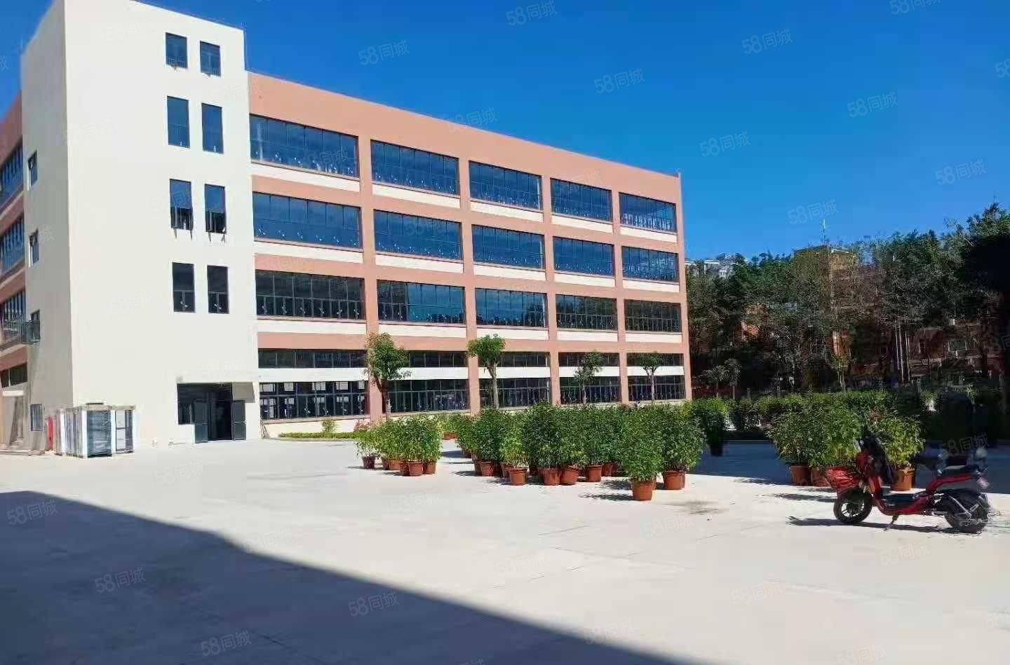 塘厦大坪高速出口科苑城原业主独栋8000平大小分厂房仓库出租