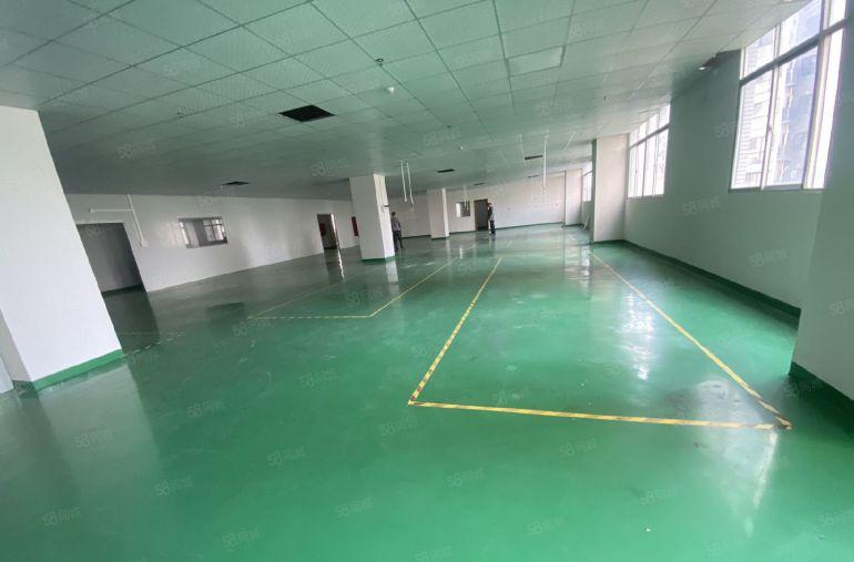 塘厦林村太阳城标准2楼800平方！现成办公室装修，无公摊