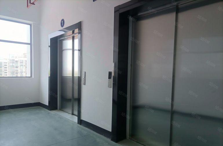 塘厦镇环市南路边全新红本工业园标准一楼和二楼以上厂房分层出租