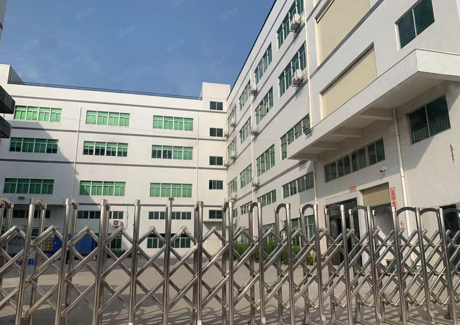 本地房东自建厂房大小出租！一楼6.5米配电大近林村高速配套全