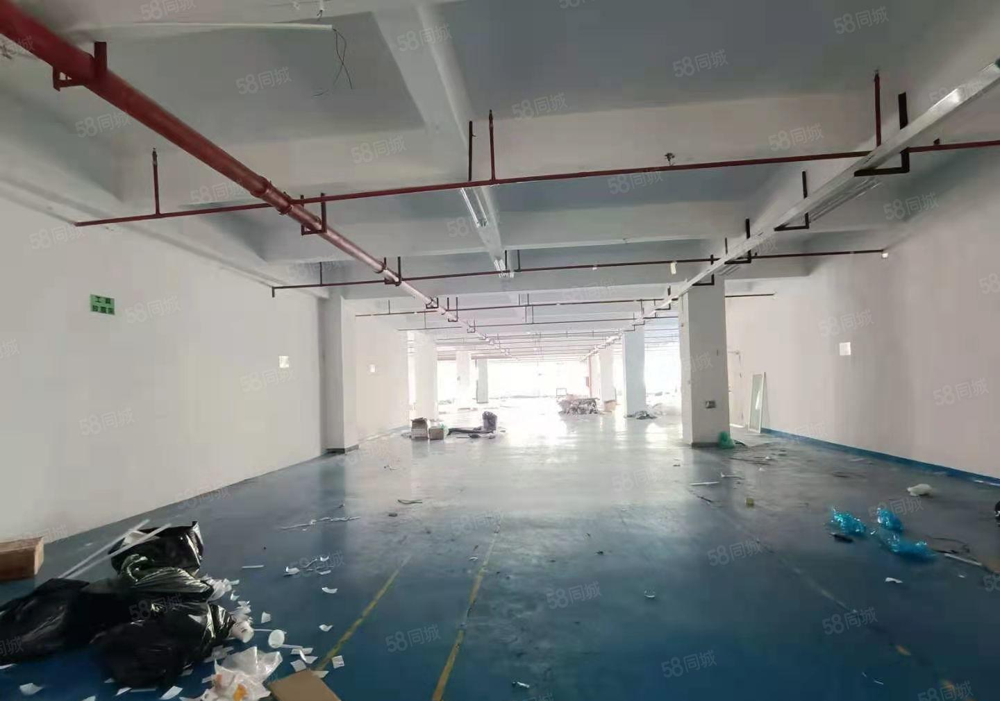 塘厦原房东无尘车间出租，近高速口，厂房花园式厂房