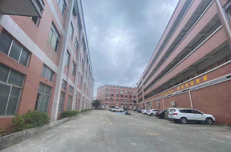 11元无公摊~靠深圳3楼1000平！带精装办公室