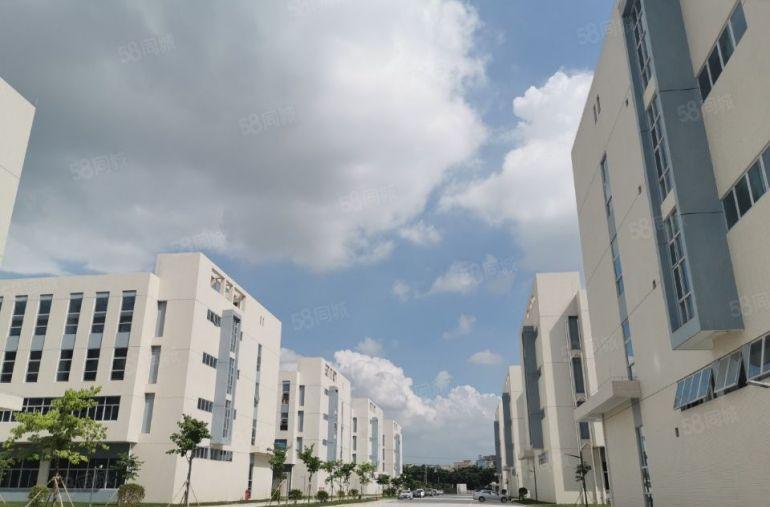 上市公司厂房！塘厦田心厂房仓库楼上880平出租，大小分租。