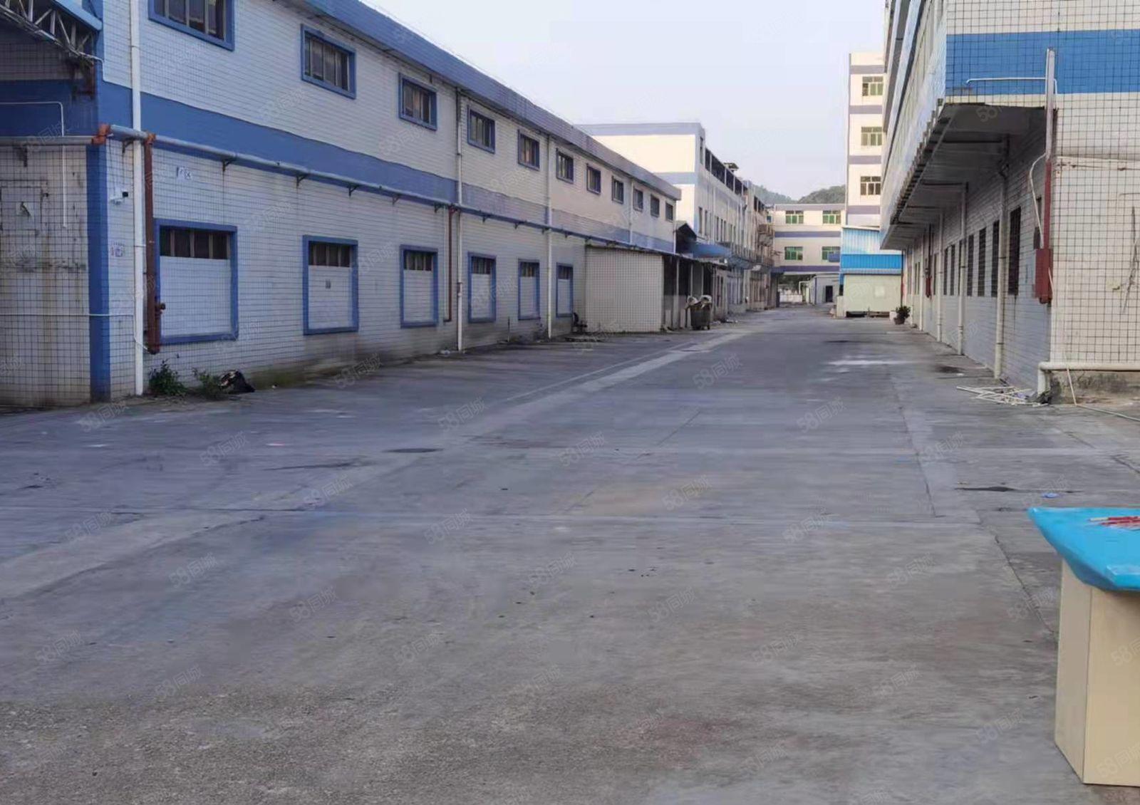 东莞 新出独门独院43800平方 标准厂房，单一层高度8米
