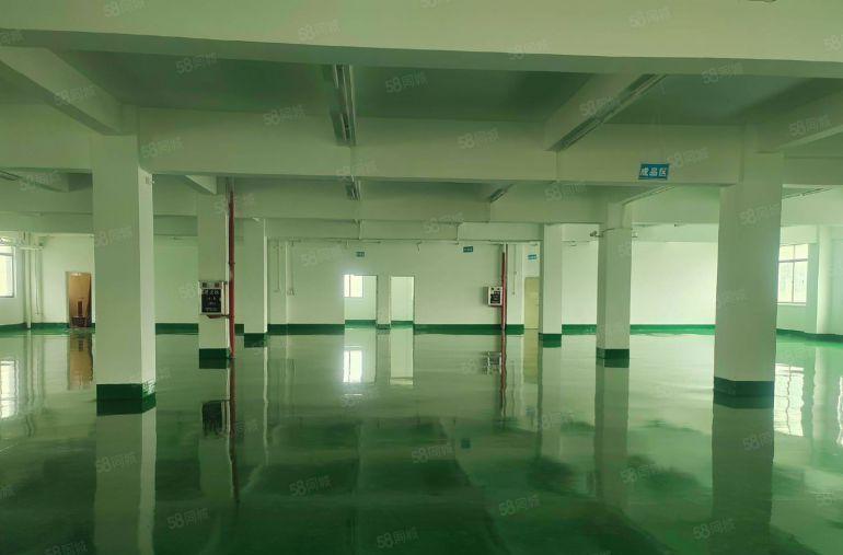 1400平精装修标准厂房2楼零公摊实际面积报12元可谈