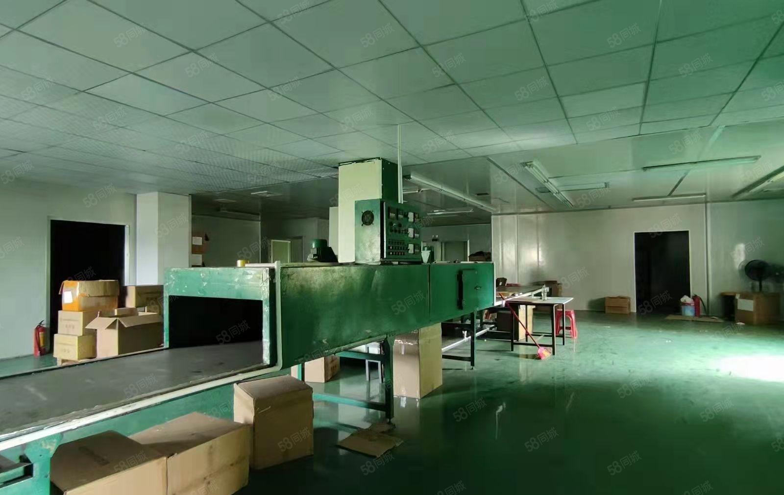 塘厦镇凤凰岗新出二楼560平米标准厂房出租