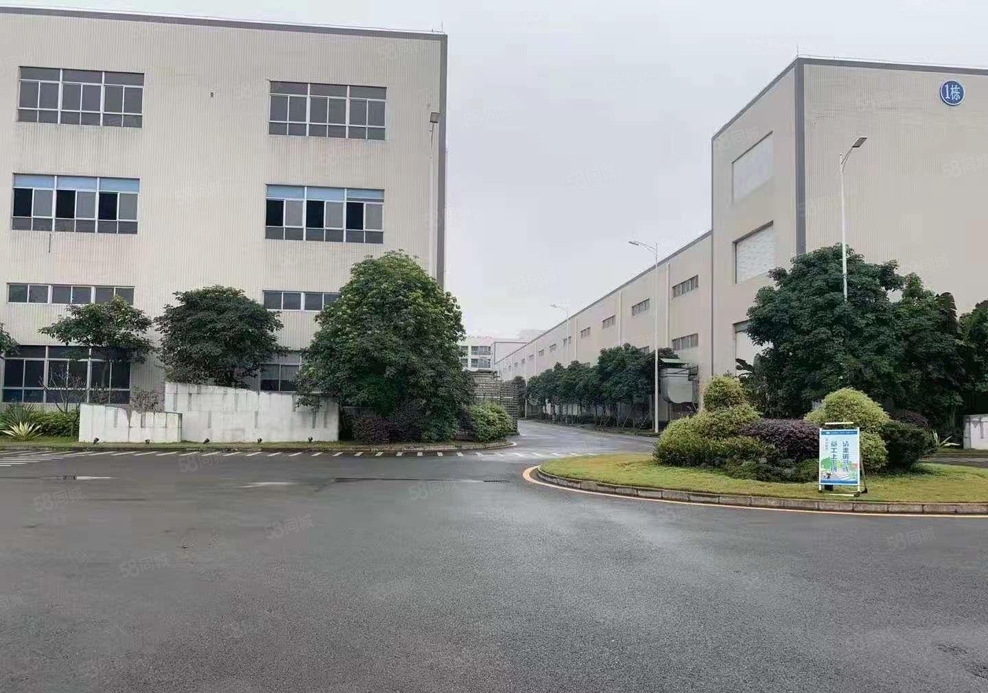 塘厦新出九成新花园式厂房