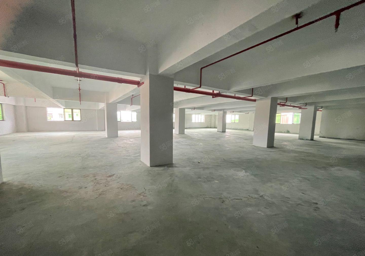 塘厦平山二楼450平9.9元招租，每层一户好管理，空地好进车