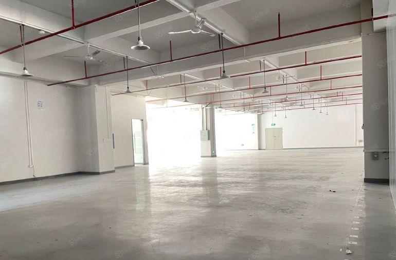 12元一手房东！塘厦田心新出楼上6000平厂房出租拎包生产。