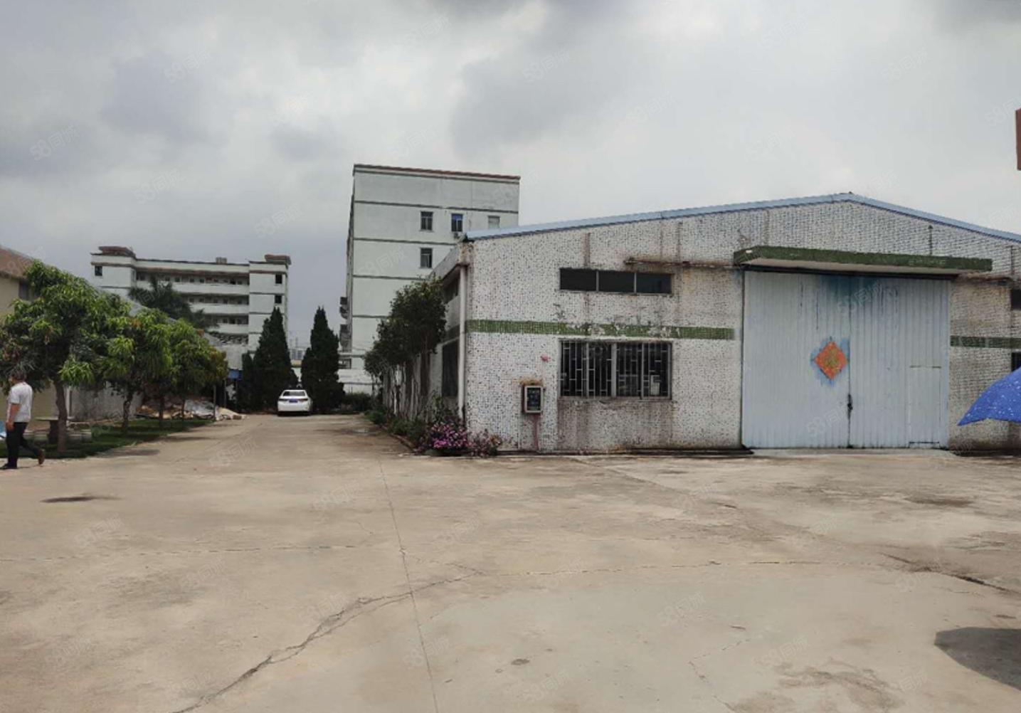 塘厦大坪单一层钢构厂房仓库800平实际面积空地大 原房东出租