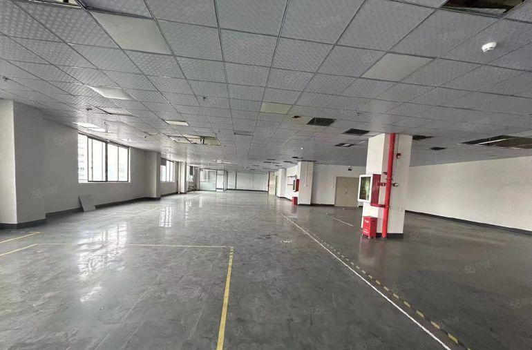 塘厦蛟乙塘原房东直租5楼1450平方，全层吊顶地坪漆精装修！