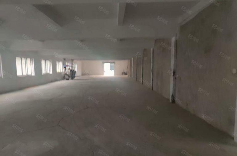 塘厦汽车站独院标准厂房出租一楼1175平电大空地大主线到车间