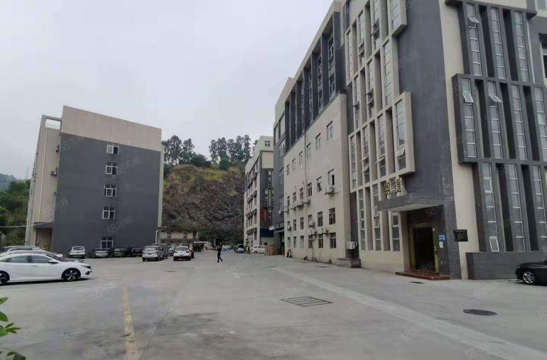 塘厦蛟乙塘原房东一楼3000平带牛角大小分空地大厂房仓库出租