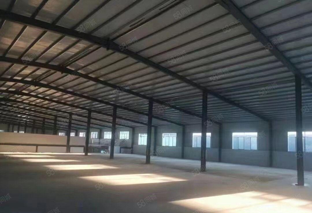 塘夏凤凰岗新全厂房出租，可分租