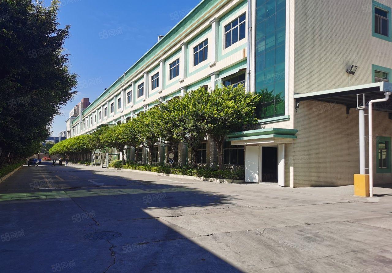 塘厦镇诸佛岭新出独院厂房4650出租可分租