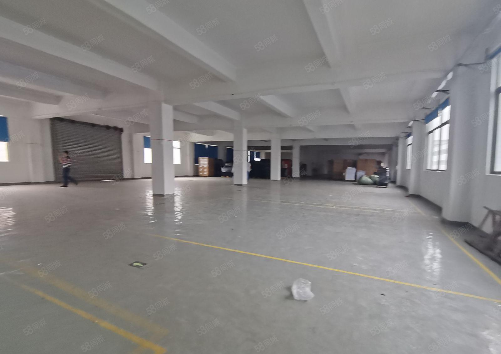 2百起分租，塘厦138工业区原房东楼上1千平红本仓库厂房出租