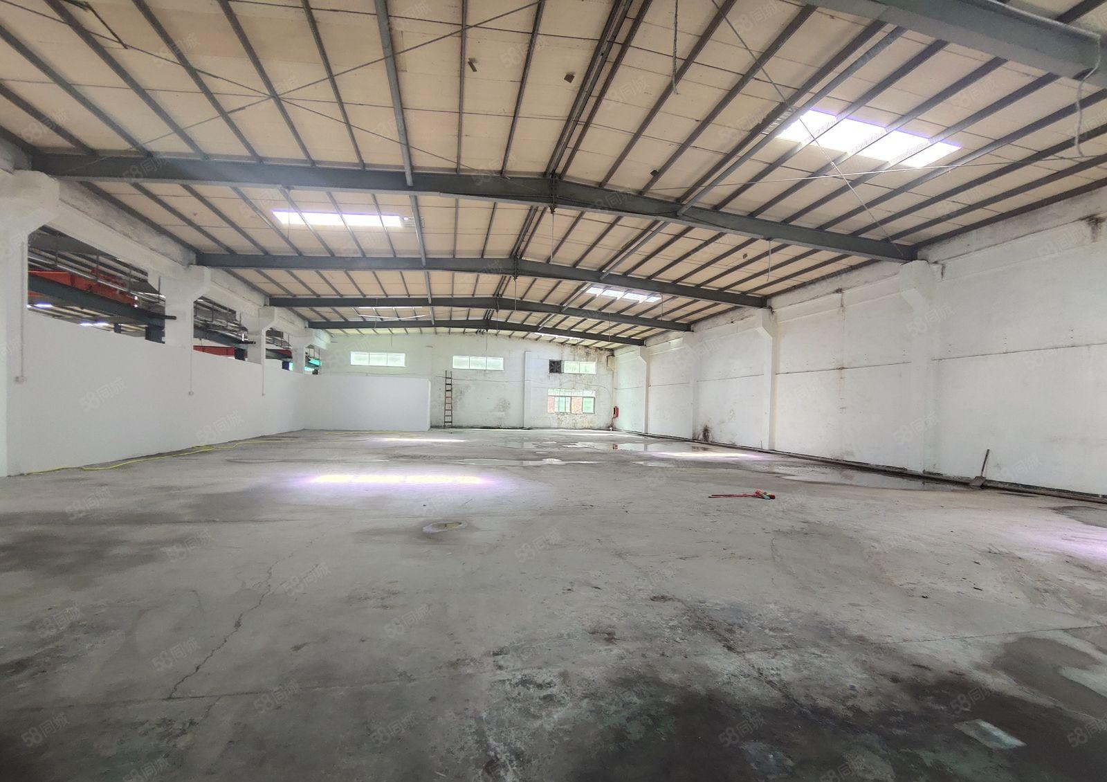 自营的干起！塘厦小独院单一层钢构厂房！可架行车配套齐全大路边