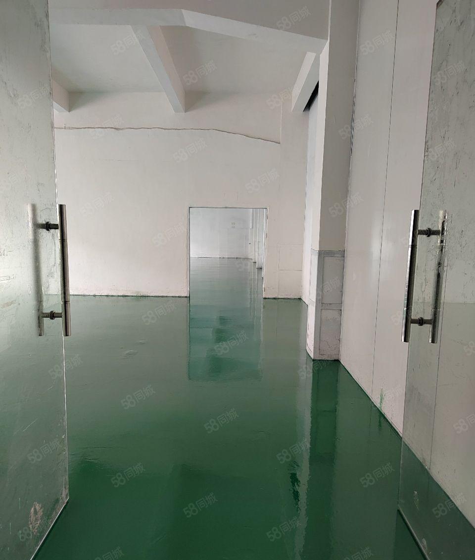 300平起出租塘厦科苑城独院1200平全新地坪漆水电已到车间