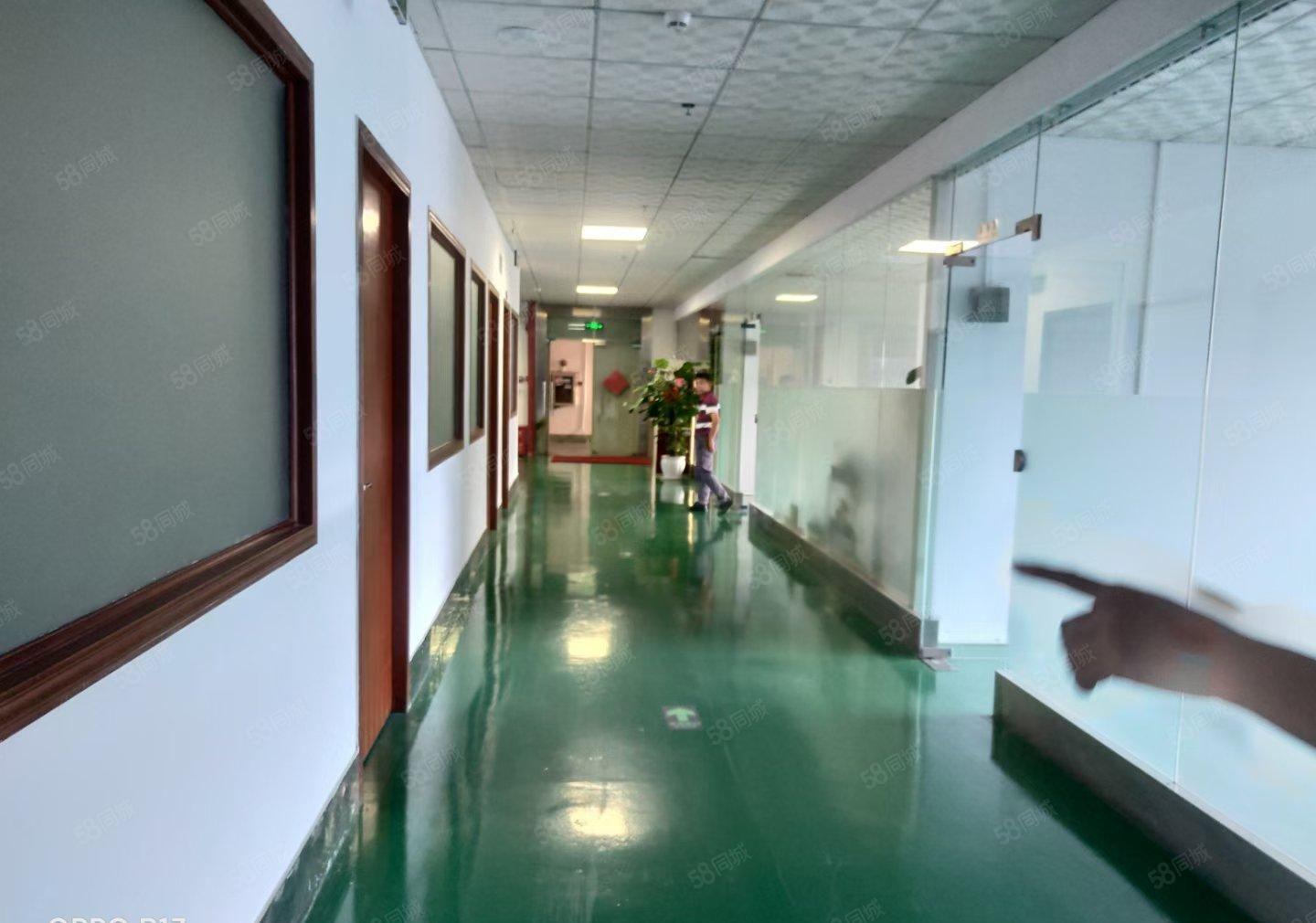 塘厦科苑城工业区原房东楼上1600平方红本标准仓库厂房出租可