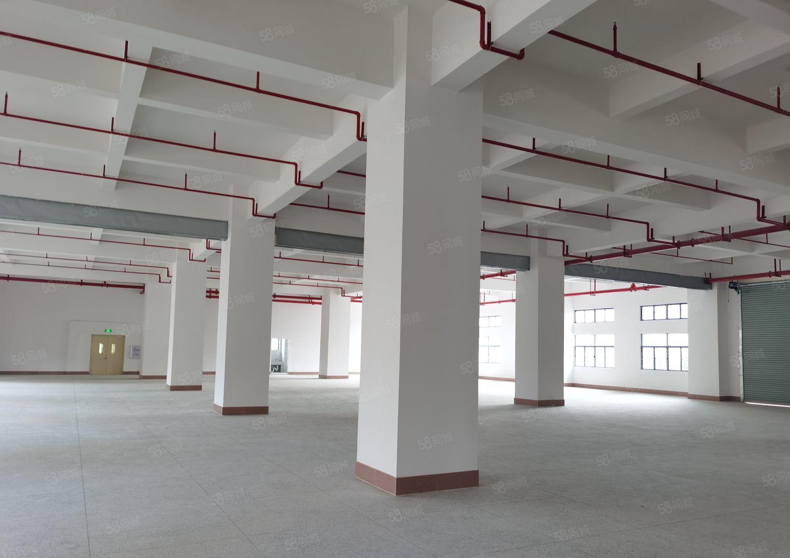 厂房出租  16.8元高端全新红本厂房25万平米招租中