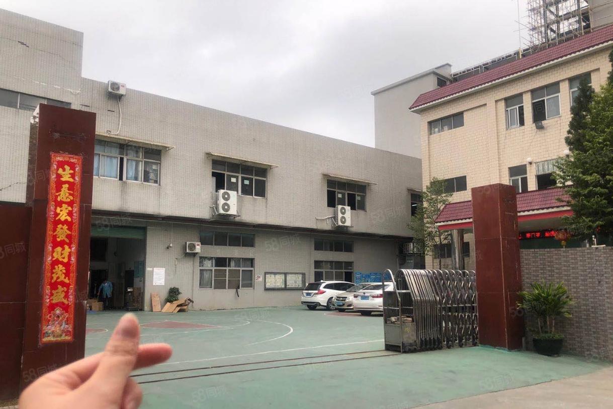 塘厦林村标准独院3300平，易招工，现成装修水电，原房东