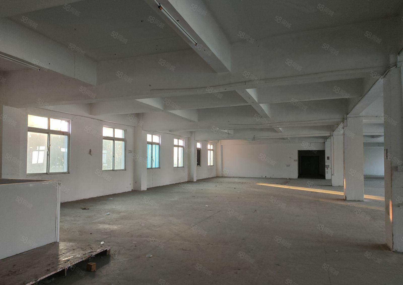 塘厦原房东独院厂房出租