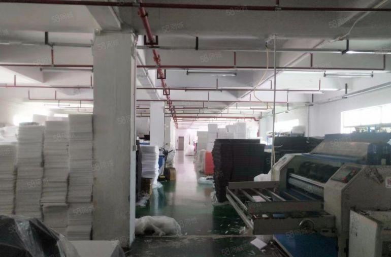 东莞塘厦林村独院标准厂房6000平，可以做珍珠棉等易燃行业