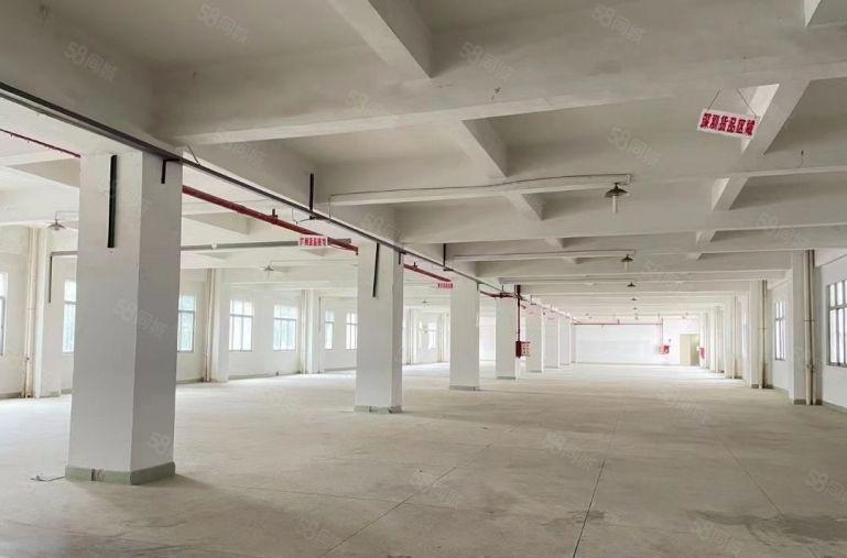 塘厦横塘新出6000平厂房招租，层高6米，空地大，配套齐全！