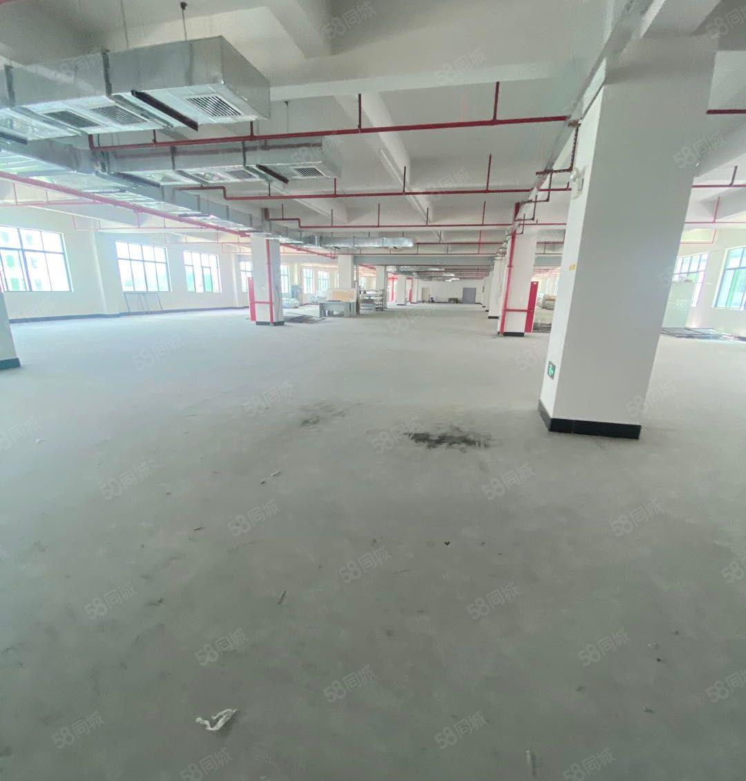 塘厦诸佛岭独门独院1400平厂房出租，价格便宜，