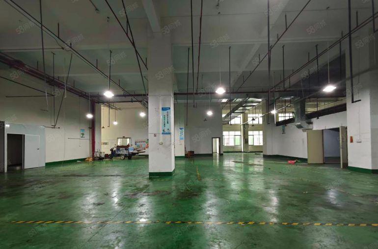 原房东高6.5米一楼厂房出租 现成办公室水电适合五金注塑模具