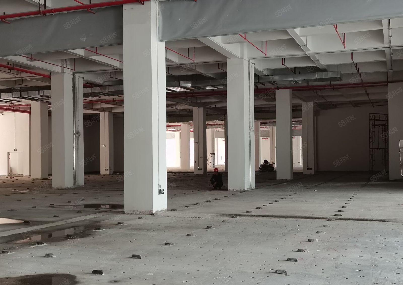电商客户仓库客户看过来单层13000平米5部电梯全新带喷淋