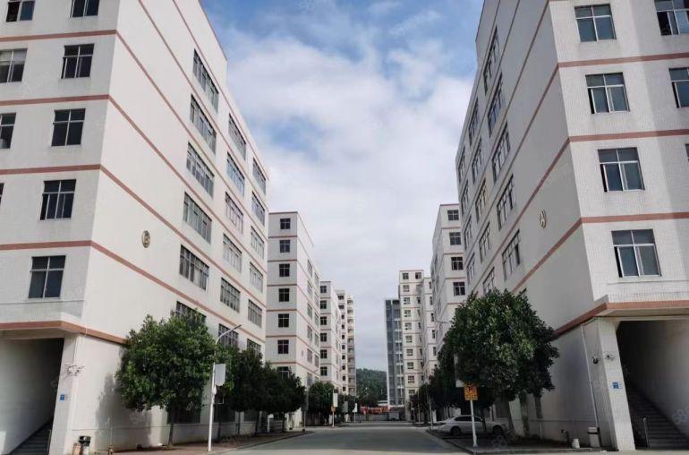 塘厦外环高速口石鼓新出村委楼上4000平厂房仓库出租，大小分