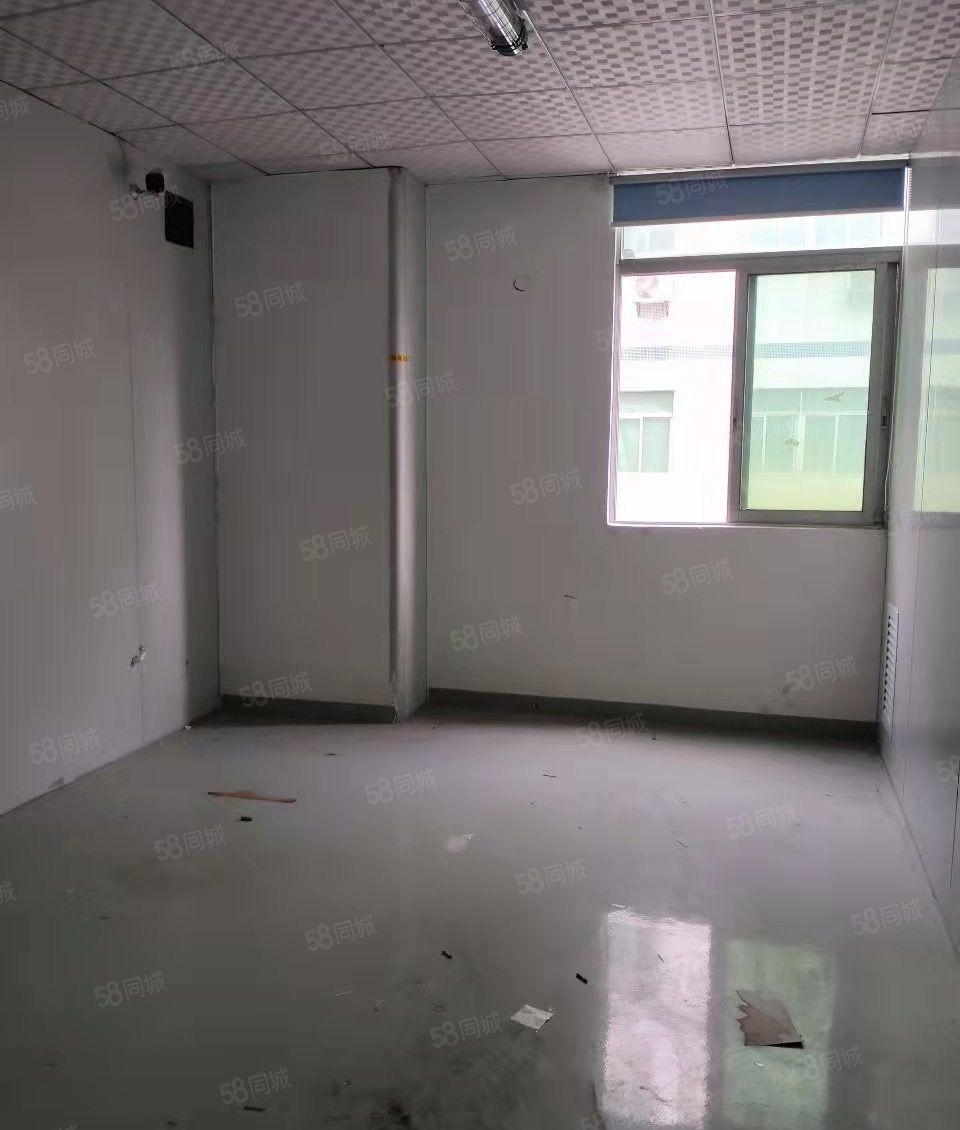 塘厦沙湖装修车间办公室300平