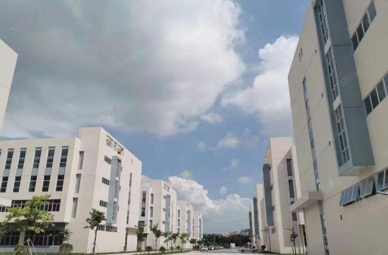 塘厦原房东自建厂房，带红本，8000万平米出租，可分租