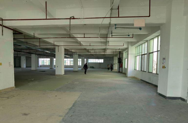 塘厦大坪工业区1000平方红本厂房出租精装修带消费喷淋可分租