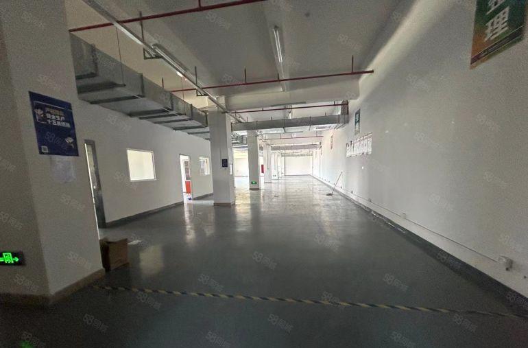 塘厦莲湖楼上小面积厂房出租1150平，精装修价格便宜租15元