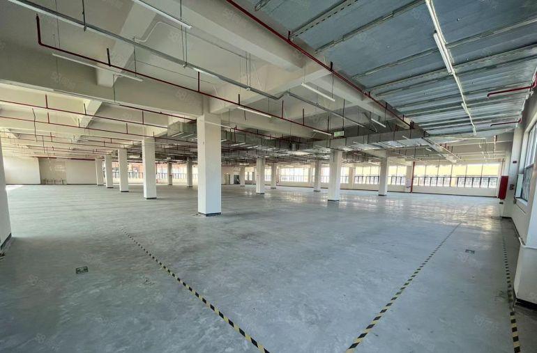 塘厦田心沙湖楼上700到1500平厂房仓库出租，现成精装修。