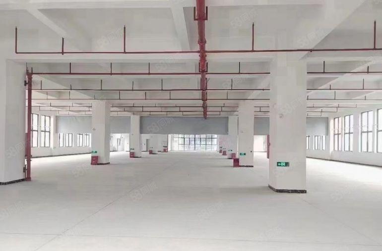 塘厦原房东花园式红本单层面积3315平大小分租部分带装修