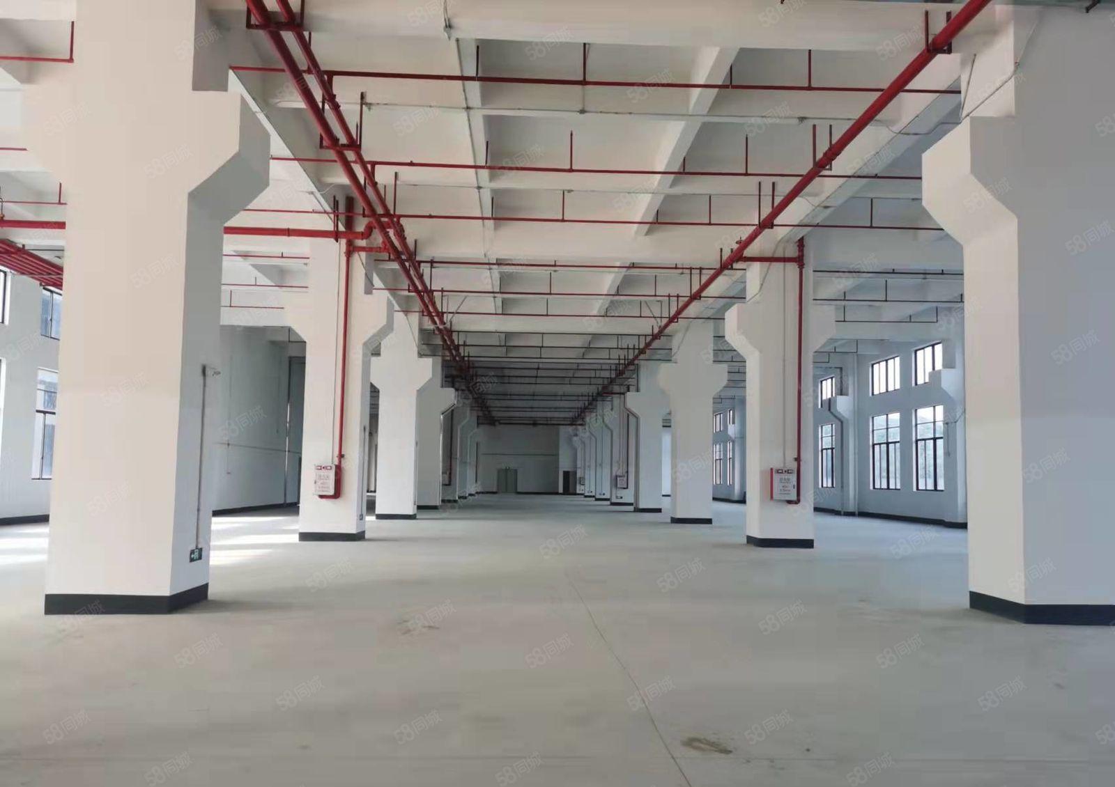 塘厦科苑城一手房东独院32000平单层3000平厂房仓库出租