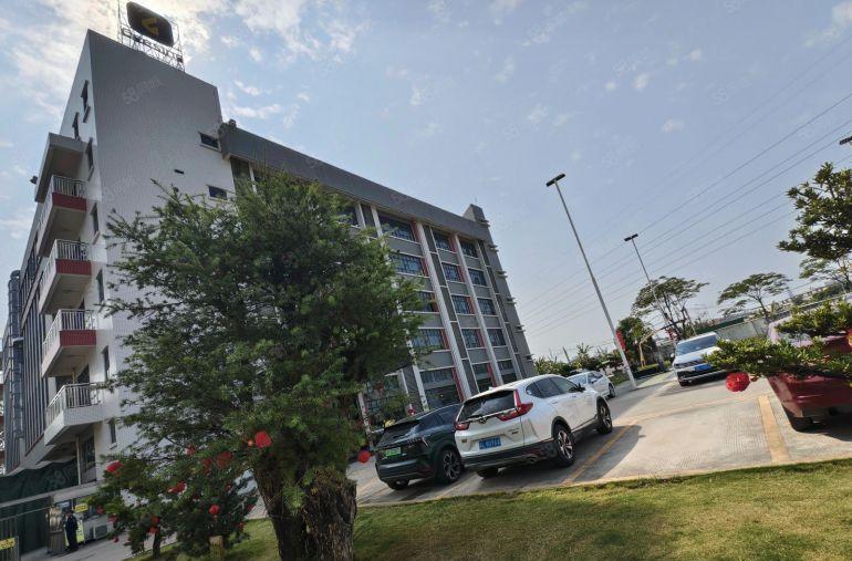 塘厦高速口精装整层3000平，面积500起分，空地超大好停车