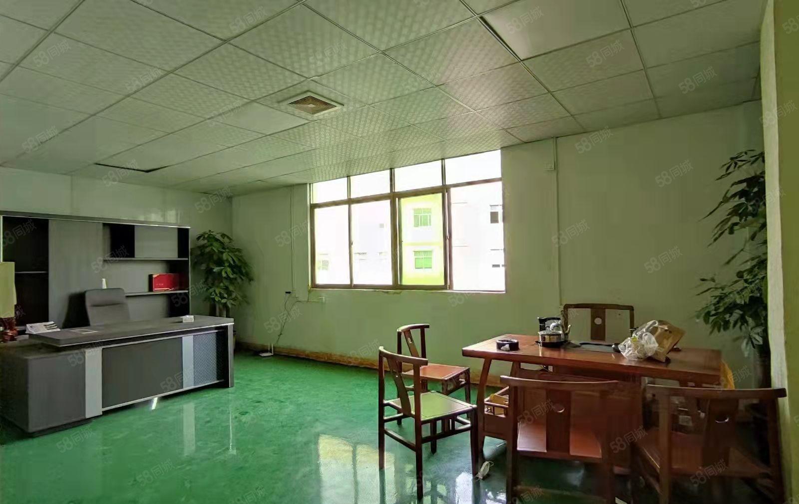 塘厦镇凤凰岗新出二楼560平米标准厂房出租