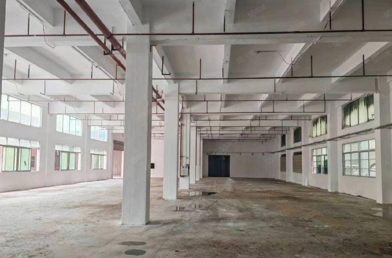 特价12元高速口形象好厂房出租！塘厦科苑城2000平独院！