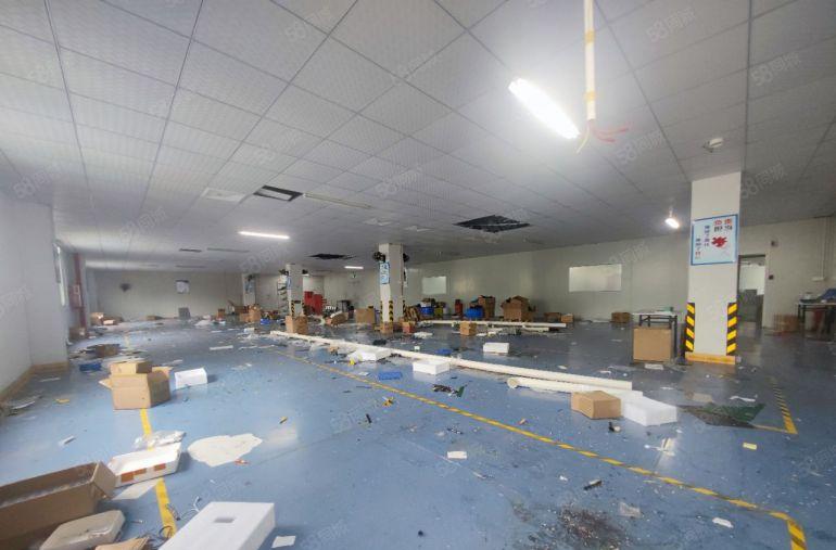 塘厦沙湖将空出二楼整层2000平厂房，漂亮精装修无转让费出租