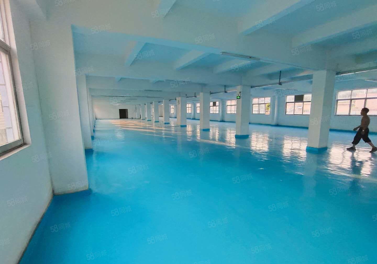 2百平起分租！塘厦田心工业区原房东1680平独栋仓库厂房出租