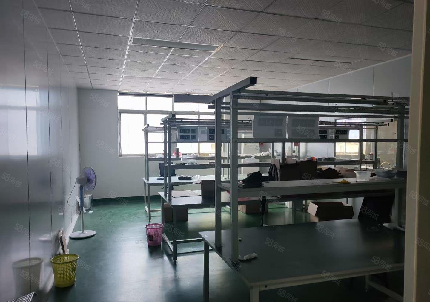 塘厦外环高速两公里新出二手厂房880平园区环境优美 价格低