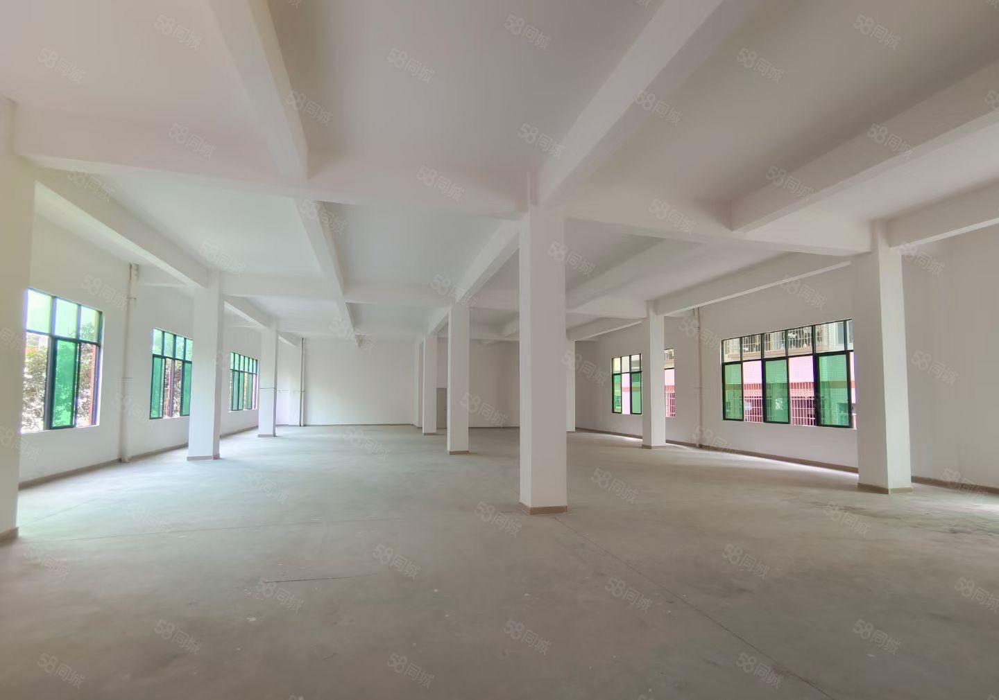 龙背岭原房东全新厂房出租，交通方便，易招工！