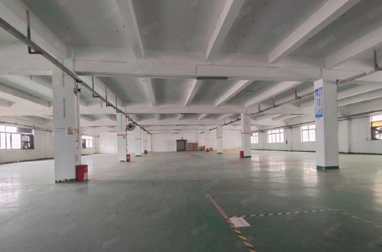 8元价格可谈塘厦原房东独院厂房1000平精装修办公室 可分租