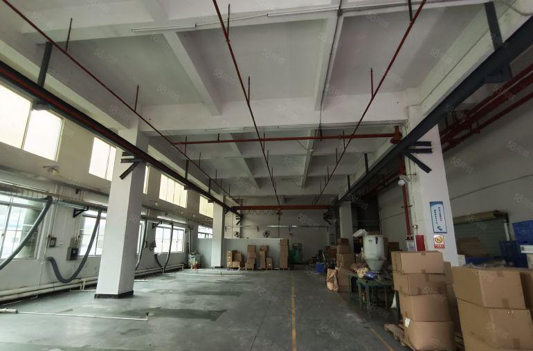 塘厦石鼓新出标准一楼带行车厂房700平，带消防喷淋办公拎包入